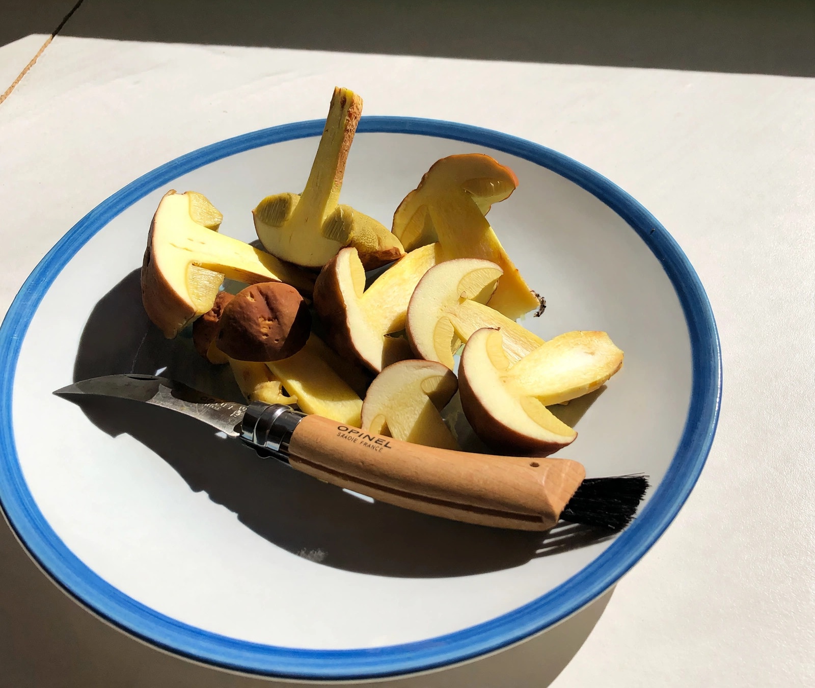 Cèpes tranchés sur une assiette blanche à bord bleu avec un couteau Opinel